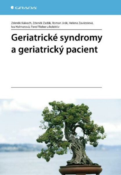 Geriatrické syndromy a geriatrický pacient - Zdeněk Kalvach, Zdeněk Zadák, Roman Jirák, Iva Holmerová, Helena Zavázalová, Pavel Weber