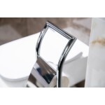 OLSEN SPA - WC štětka + držák papíru, pochromovaný kov KD02070139