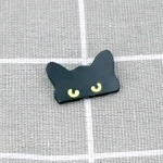 Pinarna.cz Černá naštvaná kočka