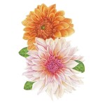 Faber-Castell Faber-Castell, 110014, Polychromos, sada uměleckých pastelek s novými odstíny, 140 ks