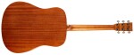 Tanglewood TWR2D