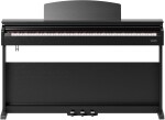 Gewa DP510 black