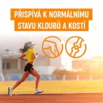 Organis Kurkumin + piperin 60 tbl.