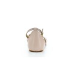 Shapen Petal Light Rose regular