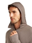 Pánská merino mikina ICEBREAKER Mens 260 Quantum IV LS Zip Hoodie, Porcini velikost: XL