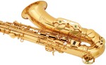 Arnolds & Sons ATS-301 Terra