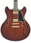 D'Angelico Deluxe DC Satin Brown Burst