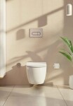 Ovládací tlačítko VitrA Root Round plast broušený nikl 740-2295 740-2295