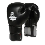 DBX BUSHIDO B-2v9 Boxerské rukavice (5902539014969)