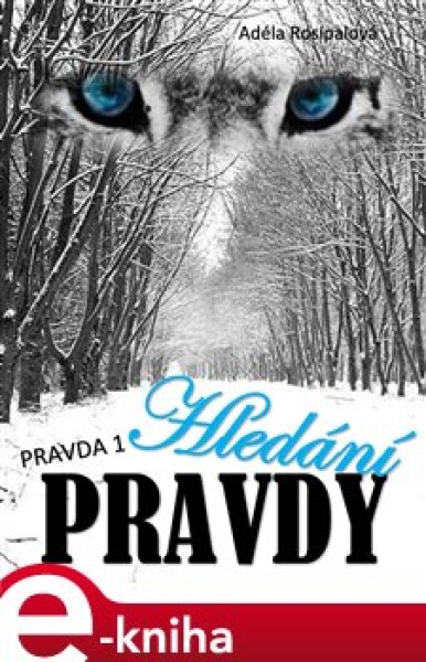 Hledání pravdy - Adéla Rosípalová e-kniha