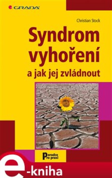 Syndrom vyhoření a jak jej zvládnout - Christian Stock e-kniha