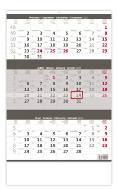 Nástěnný kalendář Helma 2025 - Tříměsíční šedý