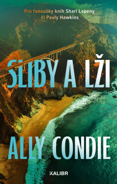 Sliby a lži - Ally Condie