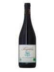 Domaine des Pasquiers Vaucluse rouge IGP, 0,75 l, suché červené, 14 % (holá lahev)