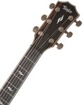 Taylor 812ce