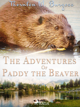 The Adventures of Paddy the Beaver - Thornton W. Burgess