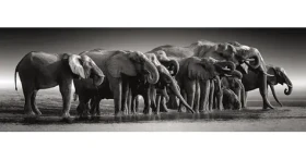 Clementoni 39895 Panoramatické puzzle Stádo obrů 1000 dílků