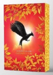 Catching Fire Deluxe - Suzanne Collinsová
