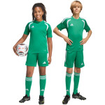Dětské šortky adidas Tiro 26 League zelené KA8812 128 cm