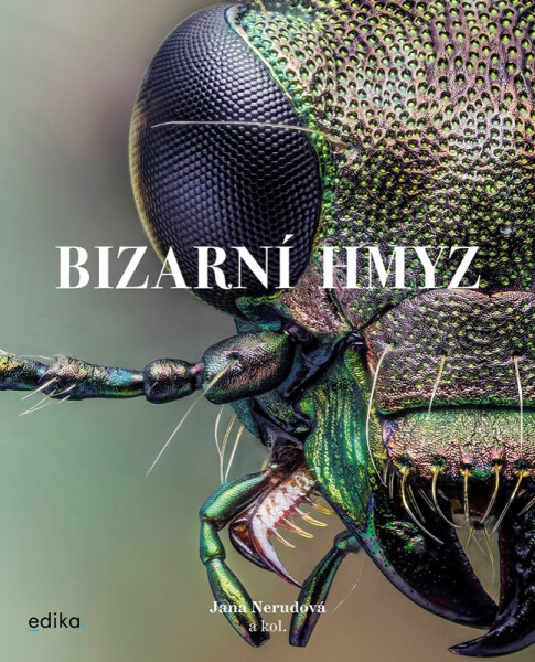 Bizarní hmyz - kolektiv autorů, Jana Nerudová