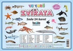 Zvířata ve vodě - Sada 24 karet - kolektiv autorů