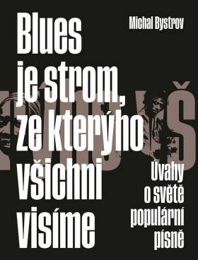 Blues je strom, ze kterýho všichni visíme - Úvahy o světě populární písně - Michal Bystrov