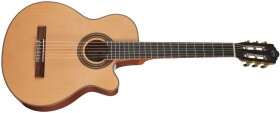 Tanglewood EMDC7