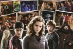 Trefl - Puzzle - Harry potter s přáteli