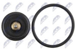 PIETRO Termostat VW Polo (9N, 9N4), Fox, Lupo; SEAT Ibiza III, Cordoba 1.6 74kW