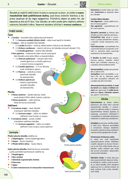 Memorix anatomie - Radovan Hudák