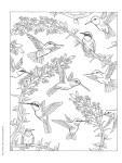 Creative Haven Nature Scapes, antistresové omalovánky, Patricia J. Wynne