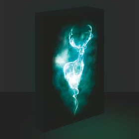Harry Potter obraz LED svítící 30x40 cm - Patron - EPEE
