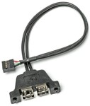 ASRock DESKMINI 2x USB2.0 CABLE