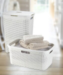 Curver STYLE 40L koš