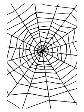 Černá pavučina s pavoukem 24610