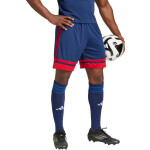 Šortky adidas Squadra 25 M JH3408 L