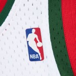 Mitchell & Ness Pánský dres Milwaukee Bucks NBA Giannis Antetokounmpo #34 2013-14 Swingman Velikost: XL