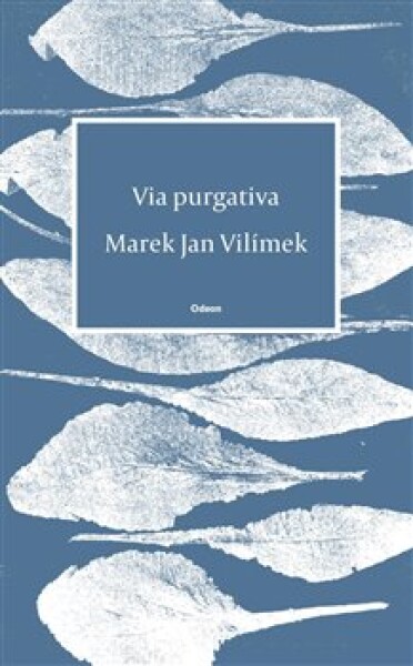 Via purgativa - Marek Jan Vilímek