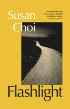 Flashlight - Susan Choi