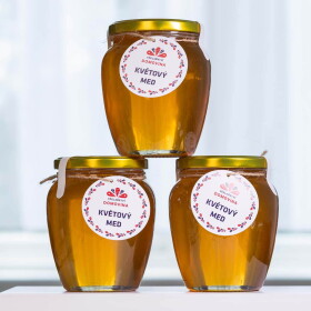 Včelařství Domovina Medožrout 3x 750 g květový med