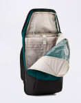 Batoh Aevor Daypack Proof Evergreen