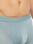 Pánské merino boxerky ICEBREAKER Mens 125 Cool-Lite Anatomica Boxers, Flint Blue velikost: M