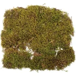 Repti Planet Přírodní terarijní mech / Terarijní mech / 35x30 cm (007-861078)