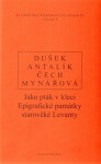 Jako pták v kleci - Epigrafické památky starověké Levanty - Jan Dušek
