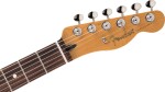 Fender LE Player II Telecaster RW MLD