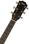 Taylor 210ce