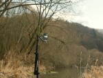 Delphin Prut Energy Catfish 2,8m 250-500g,Delphin Prut Energy Catfish 2,8m 250-500g