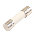 Trubičková pojistka pomalá T 2,5A pro ovládací jednotky (světla) CWX254L