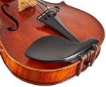 Eastman Wilhelm Klier Violin 4/4 (VL702G)