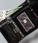 Trendy dámská kožená peněženka Analisa, černá
